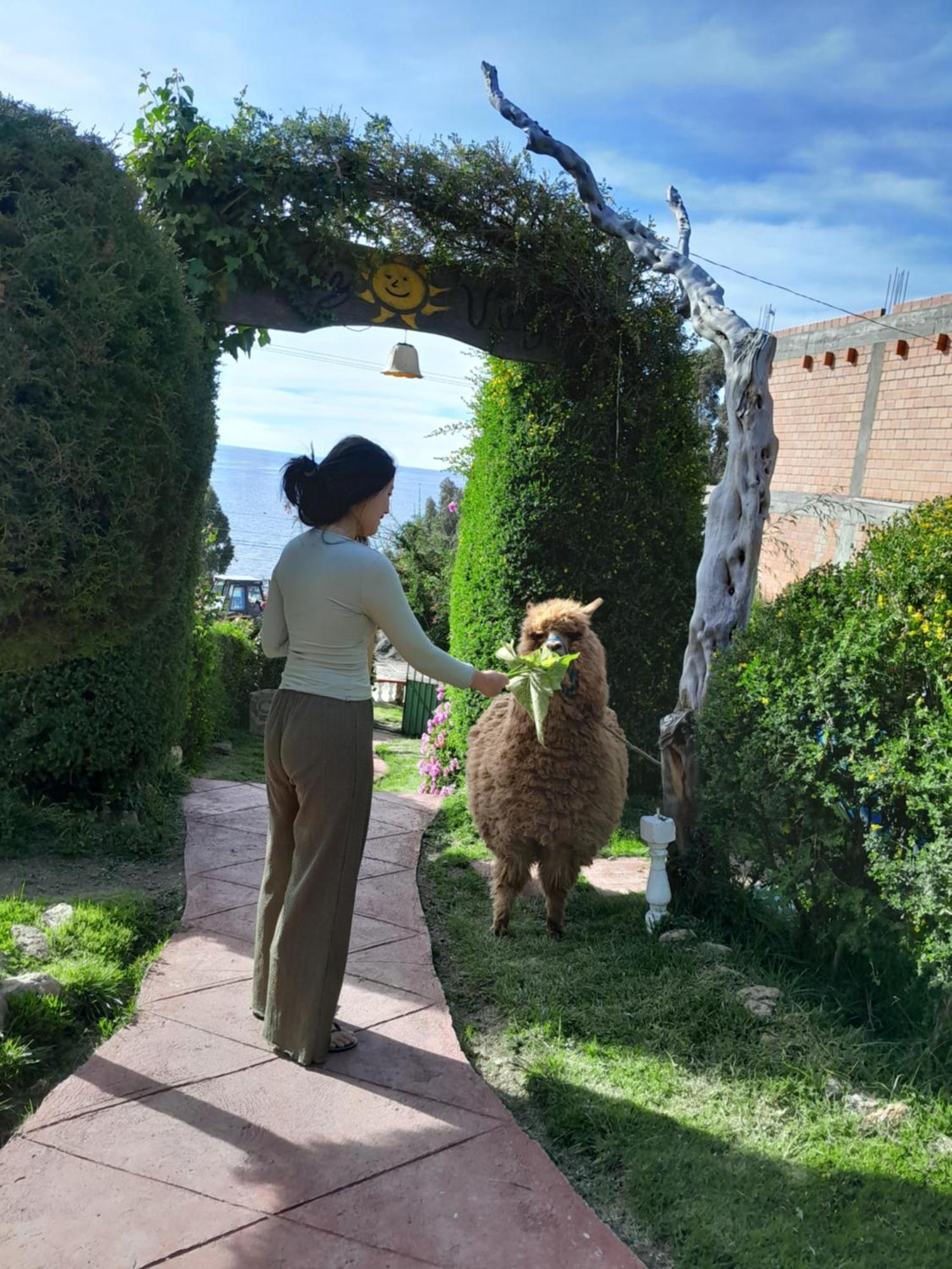 Hostal Sol Y Lago コパカバーナ エクステリア 写真